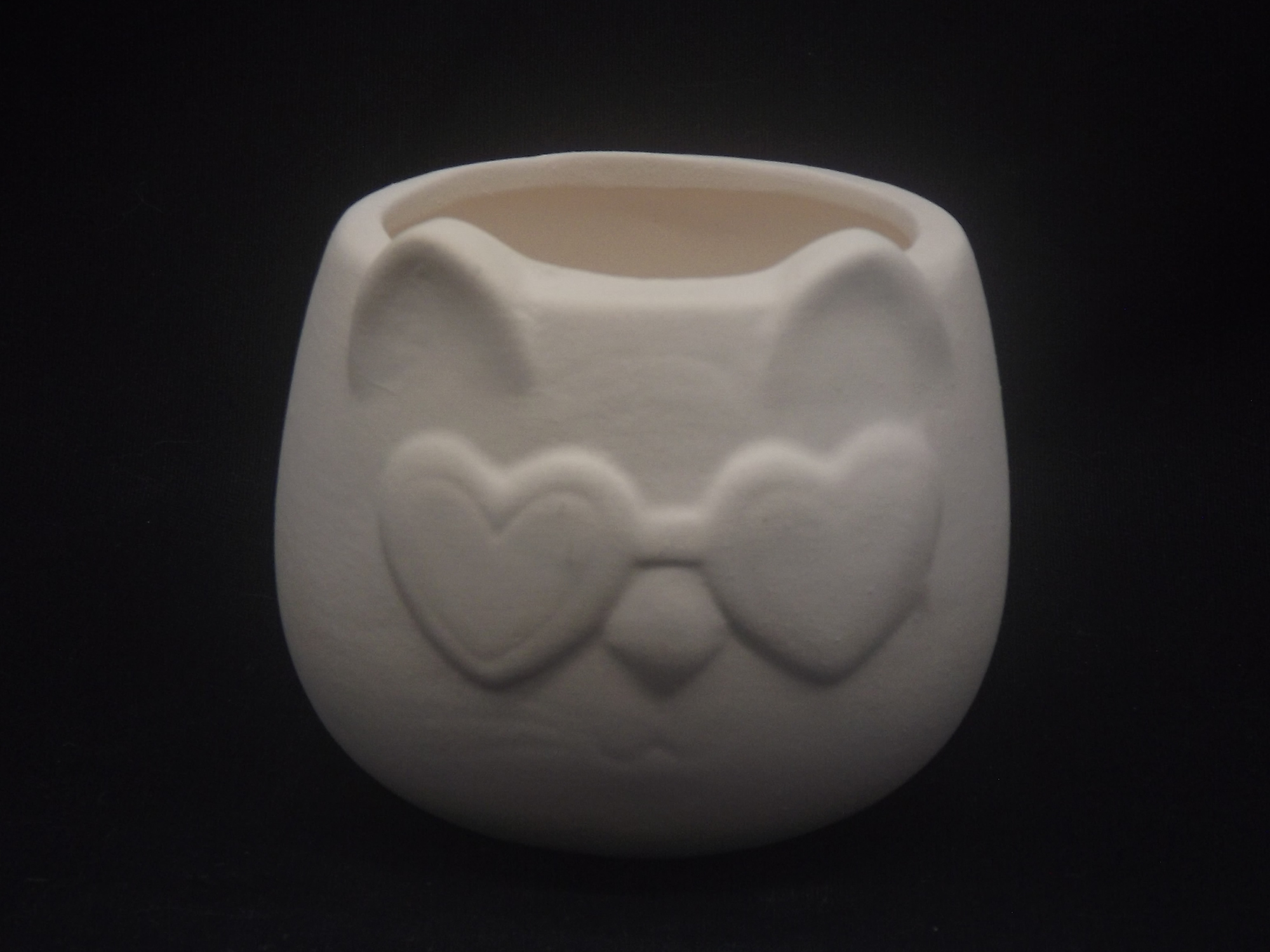 Gato óculos Suculenta